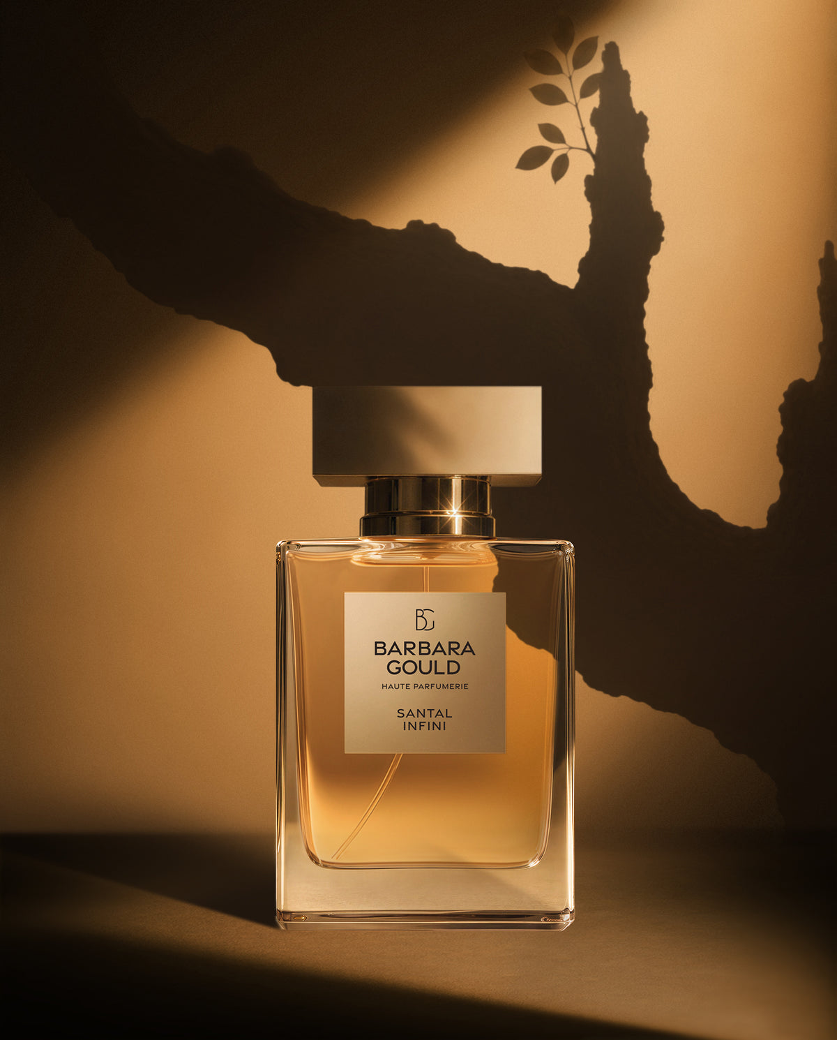 SANTAL INFINI
