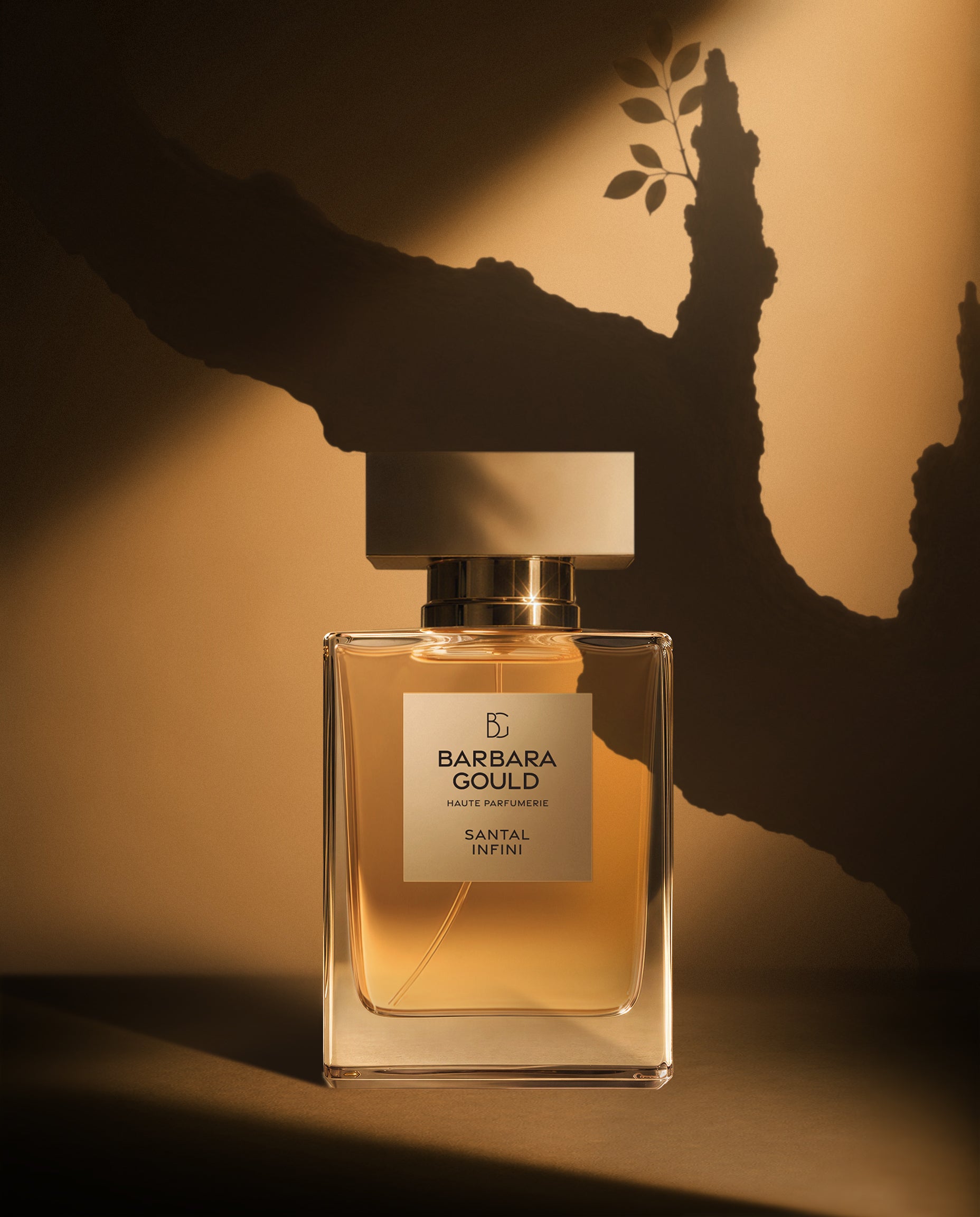 SANTAL INFINI