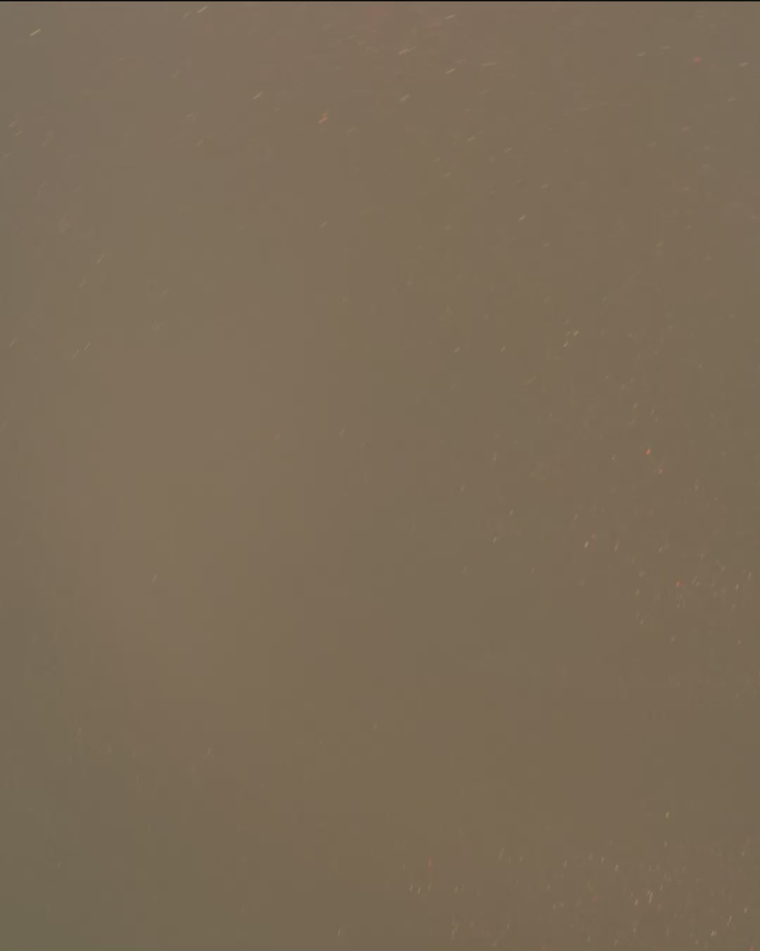 Lotion Généreuse